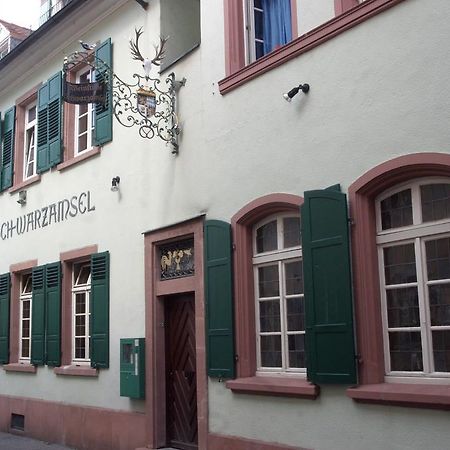 Weinstube Schwarzamsel Διαμέρισμα Σπάιερ Εξωτερικό φωτογραφία
