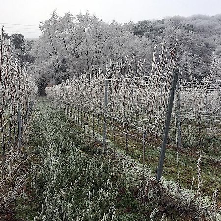 Weinstube Schwarzamsel Διαμέρισμα Σπάιερ Εξωτερικό φωτογραφία