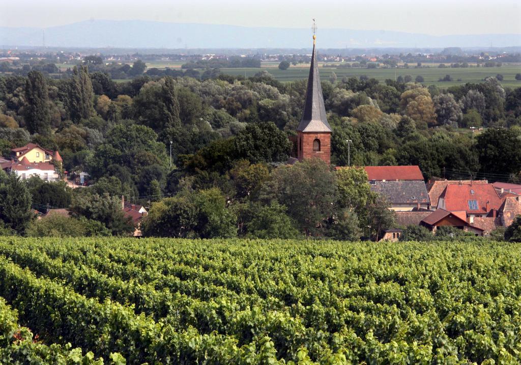 Weinstube Schwarzamsel Διαμέρισμα Σπάιερ Εξωτερικό φωτογραφία